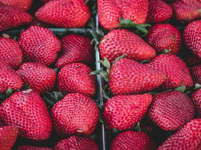 Tomchilab sug'orish tizimi: suv tejash usullari