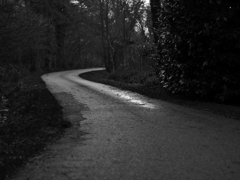 Chorvachilik: hayvonlarni parvarish qilish bo'yicha maslahatlar